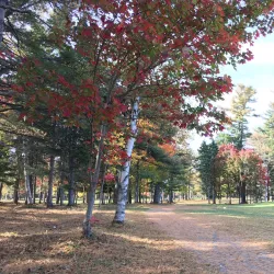 Miramichi Golf and Country Club - Miramichi