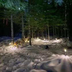 Miramichi River Canoe and Kayak Tours - Miramichi