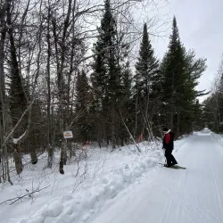 Miramichi River - Miramichi