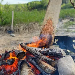 Miramichi River - Miramichi