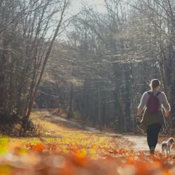 Marina de Mont-Laurier - Mont-Laurier