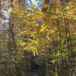 Parc des Chutes Monte-à-Peine - Mont-Laurier