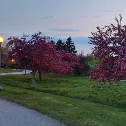 Parc régional de la Lièvre - Mont-Laurier