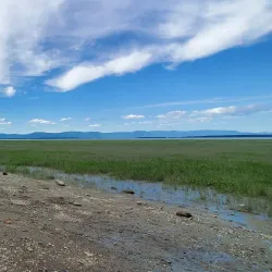 Centre d'interprétation de la migration des oiseaux - Montmagny