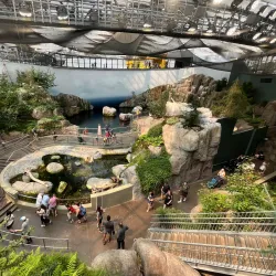 Biodome de Montreal - Montreal