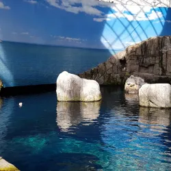 Biodome de Montreal - Montreal