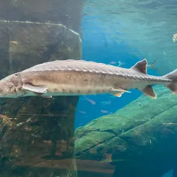 Biodome de Montreal - Montreal