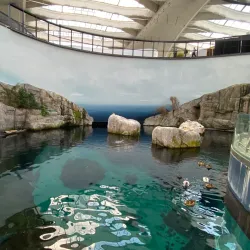 Biodome de Montreal - Montreal