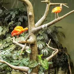 Biodome de Montreal - Montreal