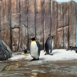 Biodome de Montreal - Montreal