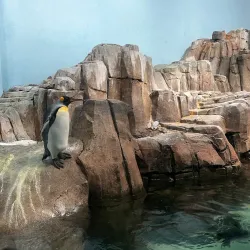 Biodome de Montreal - Montreal