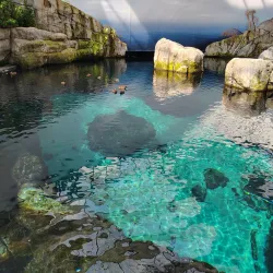 Biodome de Montreal - Montreal