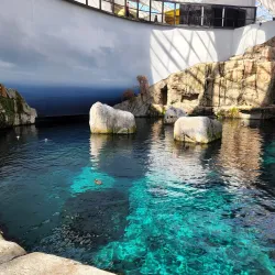 Biodome de Montreal - Montreal