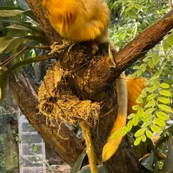 Biodome de Montreal - Montreal