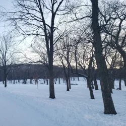 Mount Royal Park (Parc du Mont-Royal) - Montreal