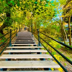 Mount Royal Park (Parc du Mont-Royal) - Montreal