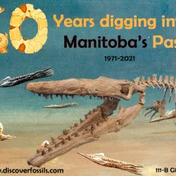 Canadian Fossil Discovery Centre - Morden