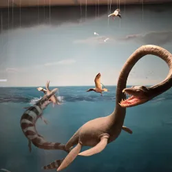 Canadian Fossil Discovery Centre - Morden