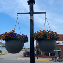 Morden Community Centre - Morden