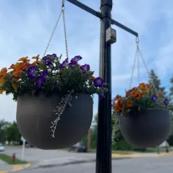 Morden Community Centre - Morden