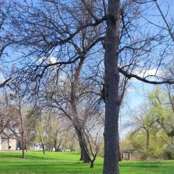 Morden Park - Morden