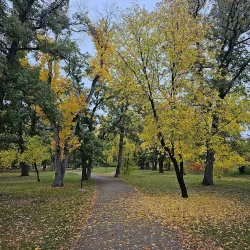 Morden Park - Morden