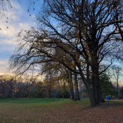 Morden Park - Morden