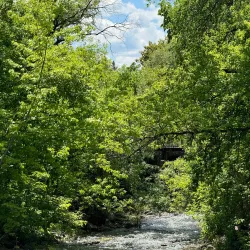 Morden Park - Morden