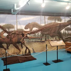 Morden Wildlife Museum - Morden