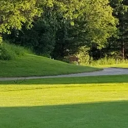 Pembina Hills Golf Club - Morden