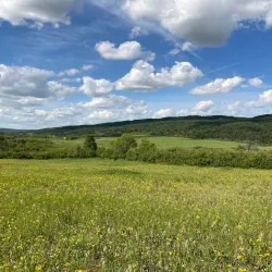 Pembina Valley Provincial Park - Morden