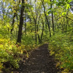 Pembina Valley Provincial Park - Morden