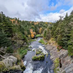 Bowring Park - Mount Pearl
