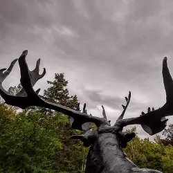 Bowring Park - Mount Pearl