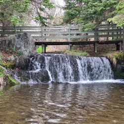 Bowring Park - Mount Pearl
