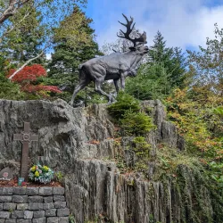 Bowring Park - Mount Pearl