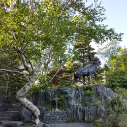 Bowring Park - Mount Pearl