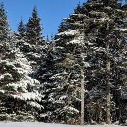 Mount Pearl Golf Course - Mount Pearl