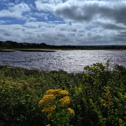 Mount Pearl Walking Trails - Mount Pearl