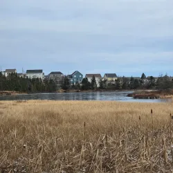 Mount Pearl Walking Trails - Mount Pearl