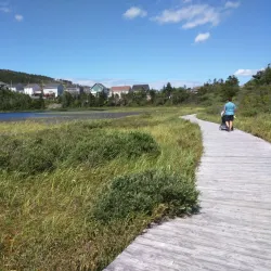 Mount Pearl Walking Trails - Mount Pearl