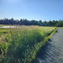 Mount Pearl Walking Trails - Mount Pearl