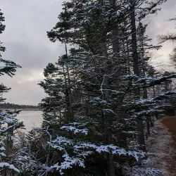 Mount Pearl Walking Trails - Mount Pearl