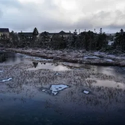 Mount Pearl Walking Trails - Mount Pearl