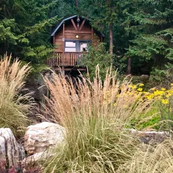 Halcyon Hot Springs - Nakusp