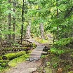 Kokanee Creek Provincial Park - Nakusp