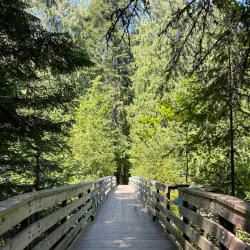 Kokanee Creek Provincial Park - Nakusp