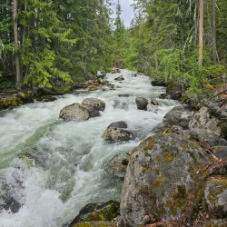 Kokanee Creek Provincial Park - Nakusp