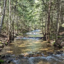 Kokanee Creek Provincial Park - Nakusp