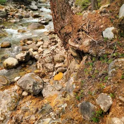 Kokanee Creek Provincial Park - Nakusp